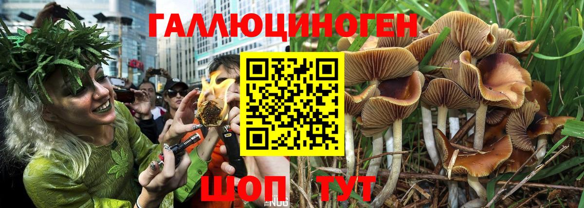 Галлюциногенные грибы ЛСД Семёнов